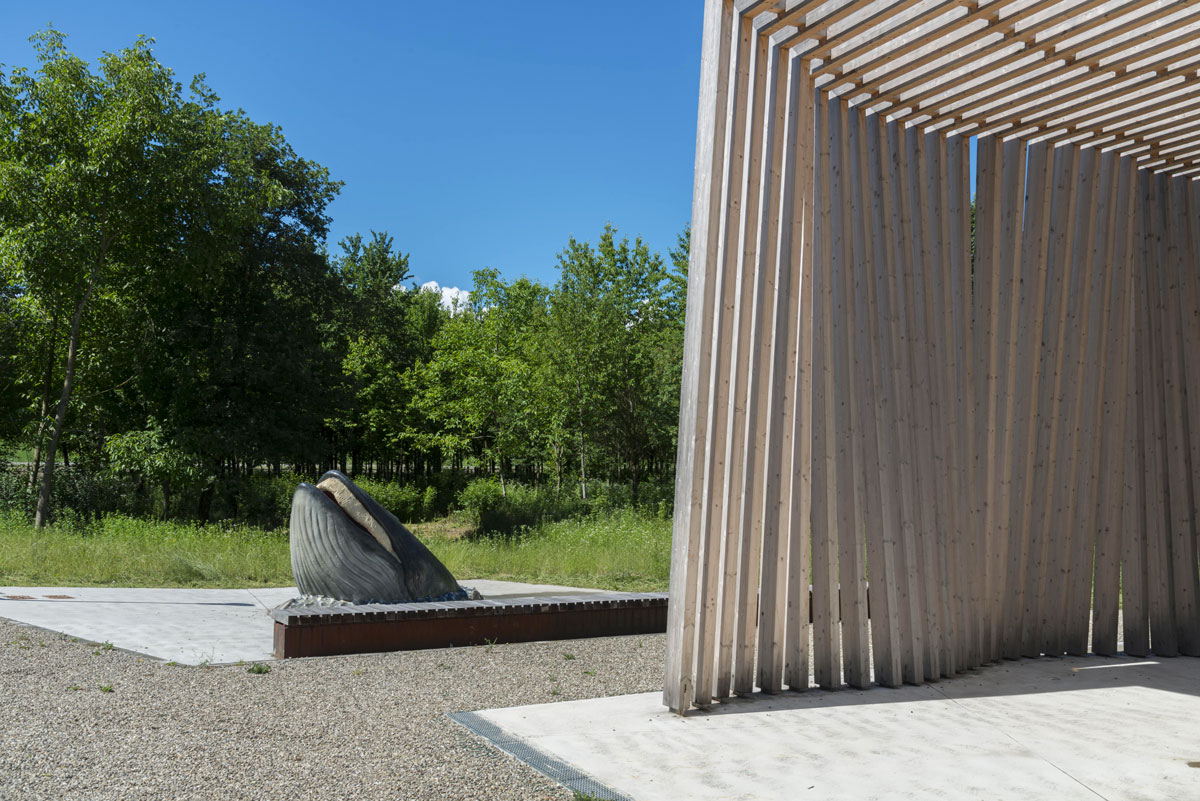 MuMAB – Museum of the Ancient Sea and Biodiversity