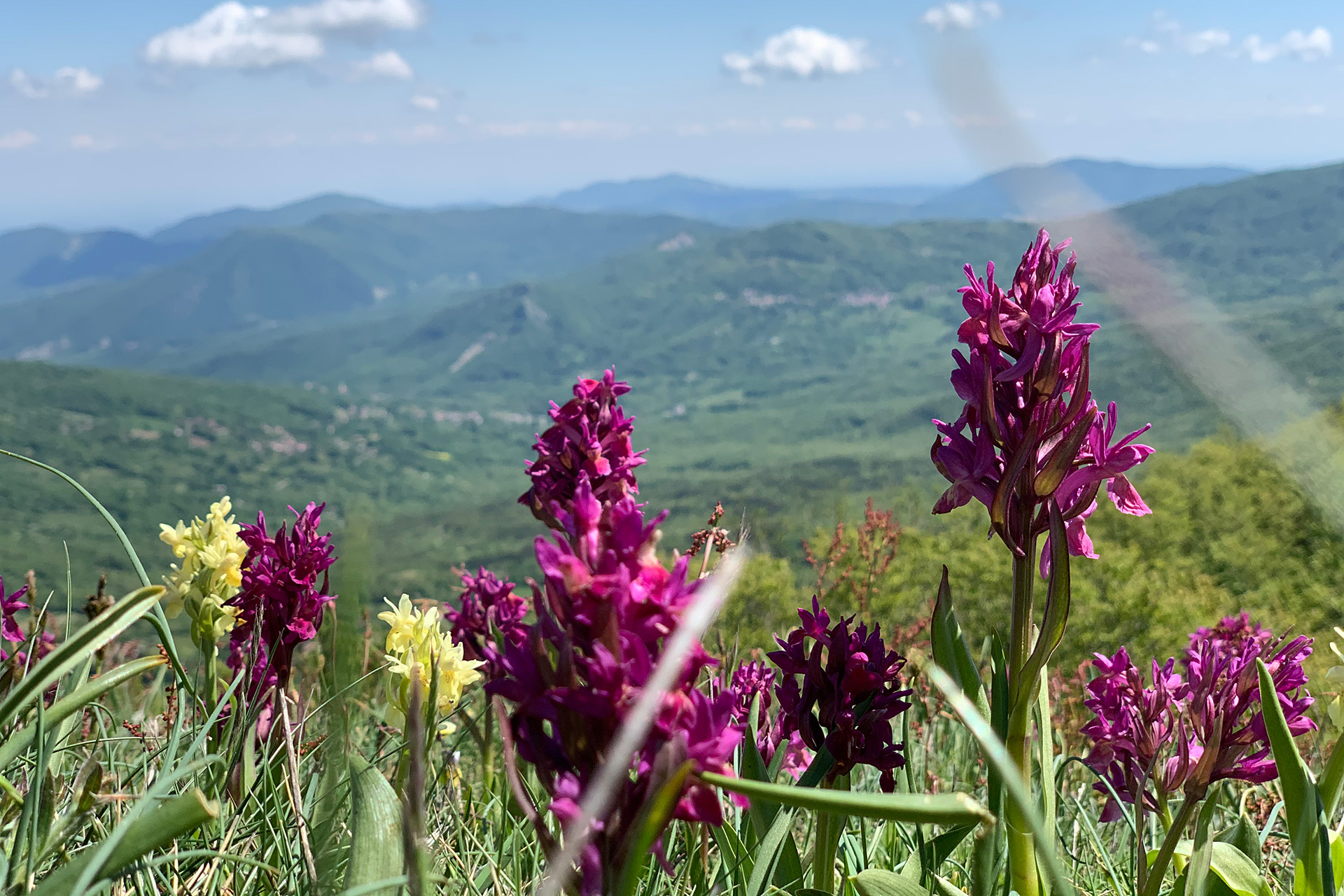 Parco Provinciale del Monte Moria (Lugagnano/Morfasso)