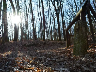 Parco Boschi di Carrega