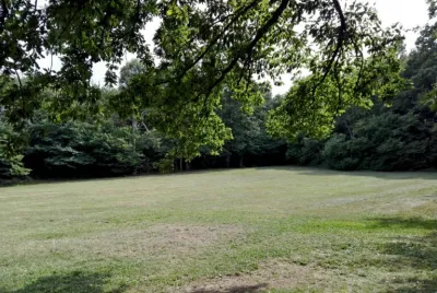 Il parco in estate: radure verdi tra i boschi