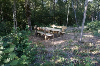 Sentiero nel bosco del Parco Monte Moria