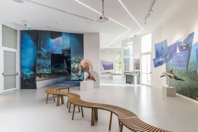 MuMAB – Museo Mare Antico e Biodiversità