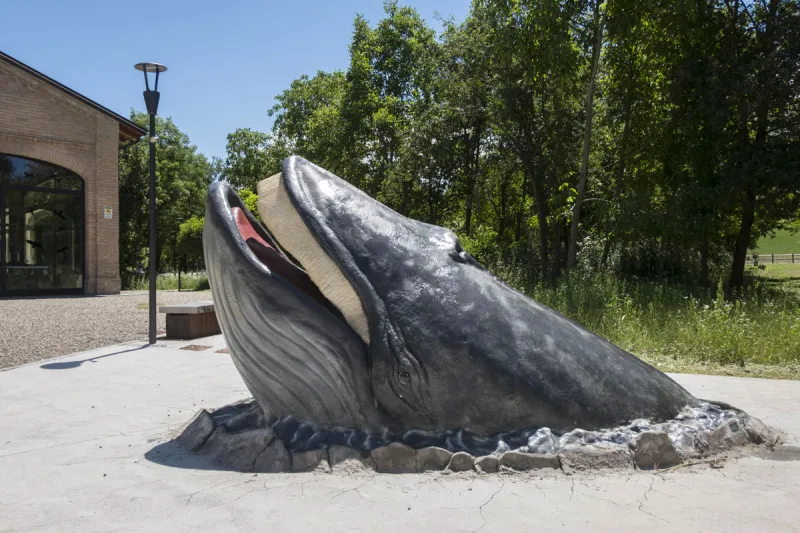 MuMAB – Museo Mare Antico e Biodiversità